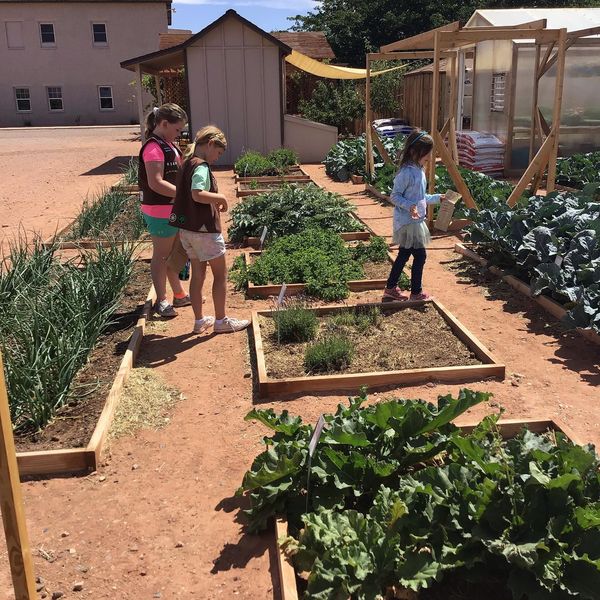 A nursery is unique to the All Nations Church, they provide bedding plant to the Page community.